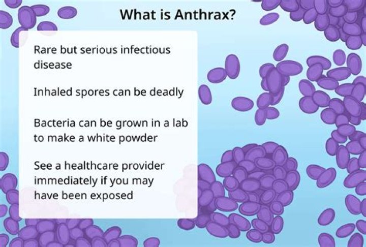 Are anthrax very contagious?