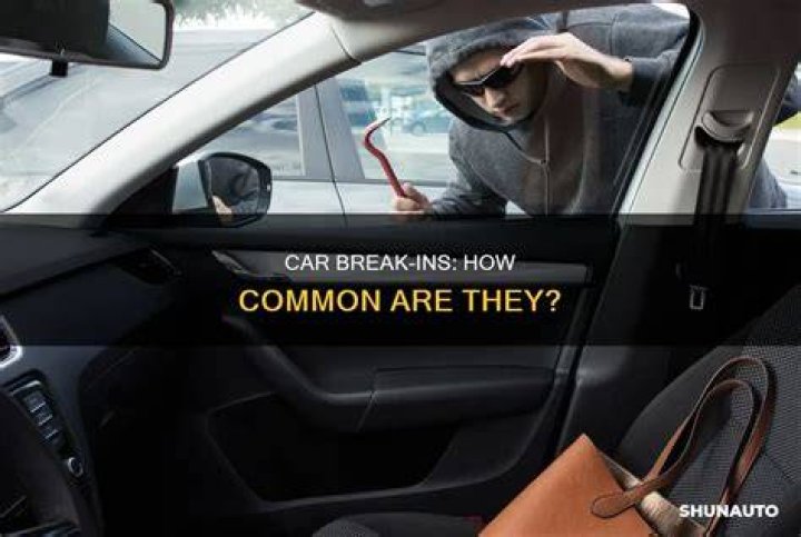 Are car break ins common?