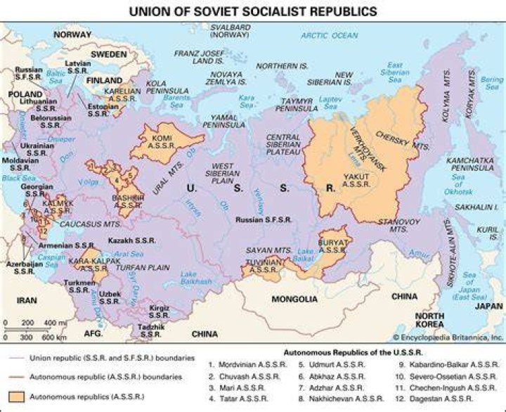 Are soviets and bolsheviks the same?