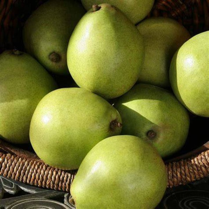 Can anjou pears be canned?