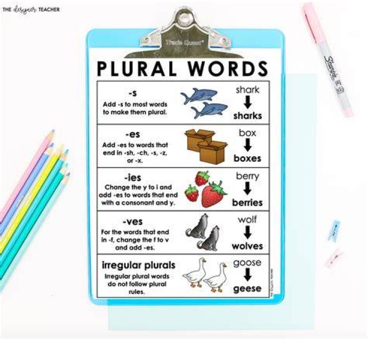 Can diaries be plural?