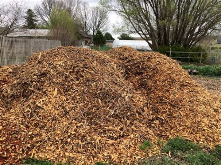 Can twigs be used as mulch?