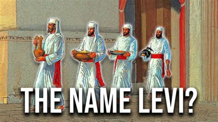 Did levites own property?