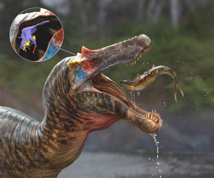 Did sauropods have two brains?