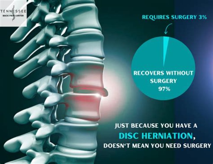 Do disc herniations heal?