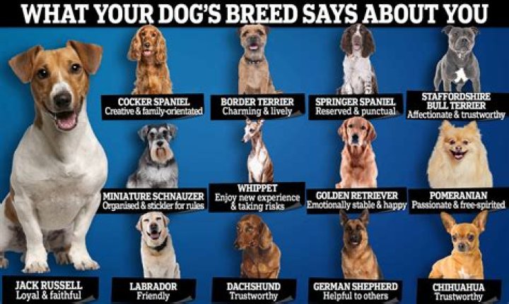 Do dogs have subspecies?