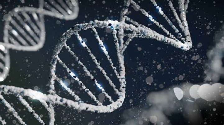 Do genetics play a role in addiction?
