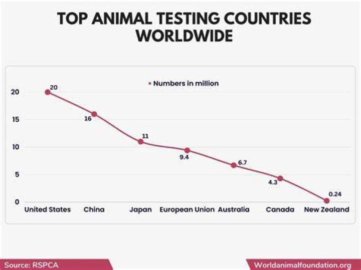 Do umberto giannini test on animals?