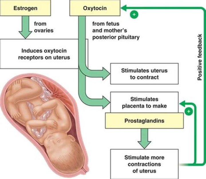 Does inducing labor hurt the baby?