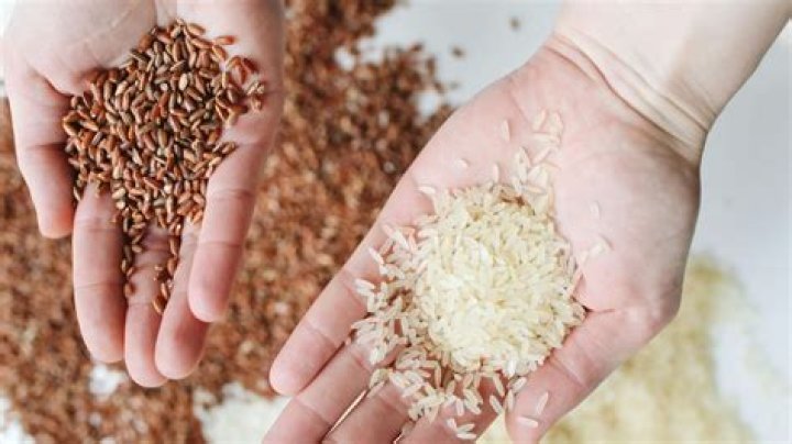 Does lundberg rice contain arsenic?
