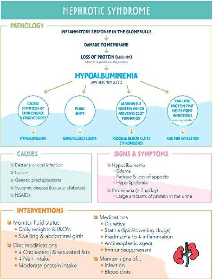 Does sle cause nephrotic syndrome?