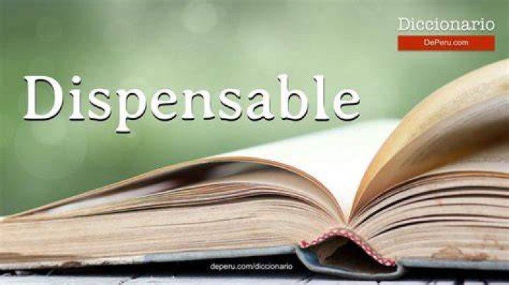 Does the word dispensable mean?
