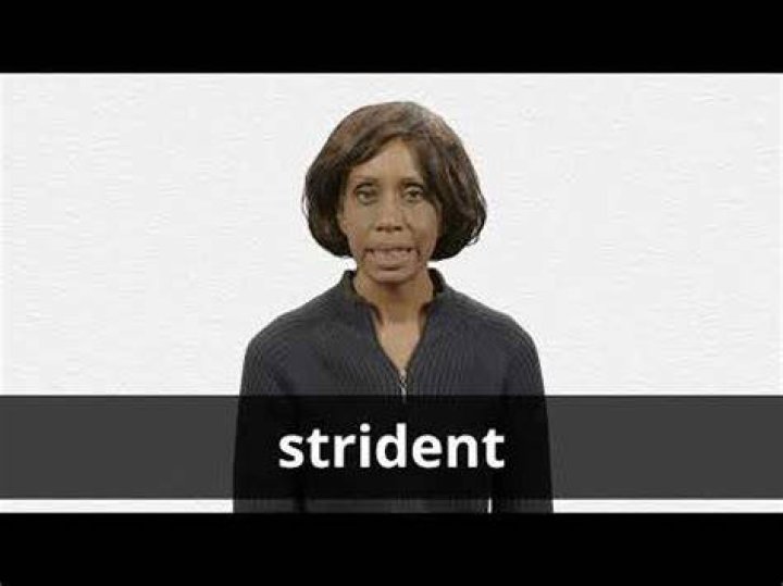 Does the word strident mean?