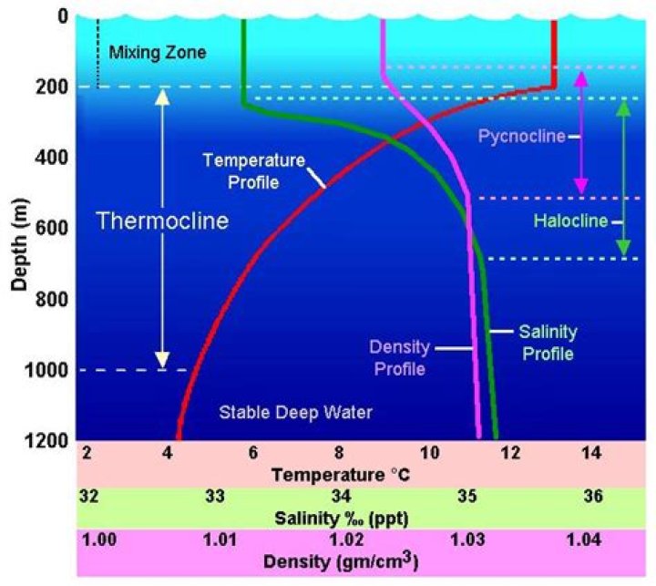 How are thermoclines haloclines and pycnoclines different?