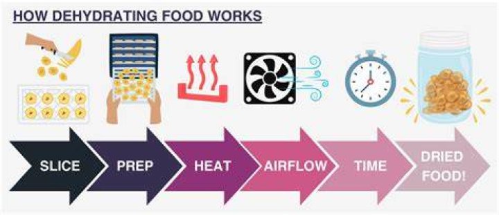 How do dehydrators work?