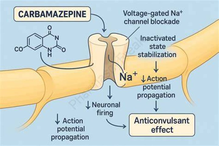 How long does it take for carbamazepine to take effect?