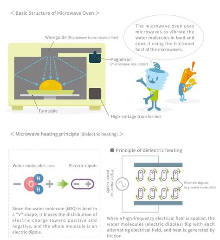 How microwaves work physics?