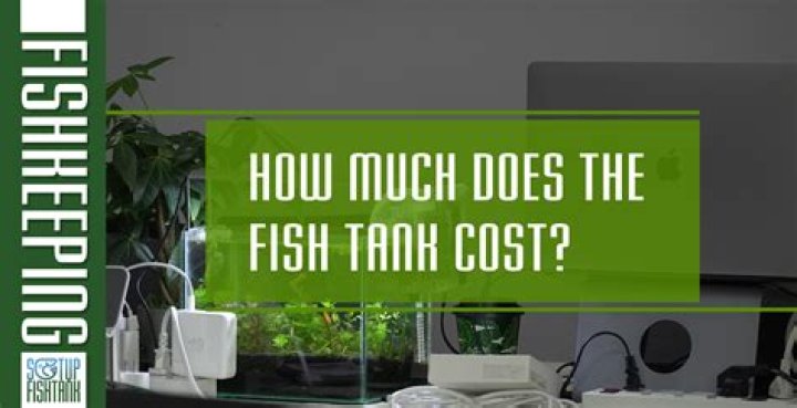 How much are the tanks on tanked?