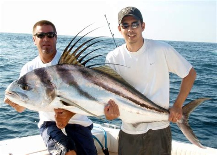 How to catch rooster fish from shore?