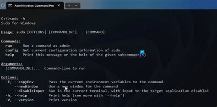 How to open sudo?