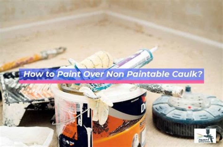 How to paint over non paintable silicone?