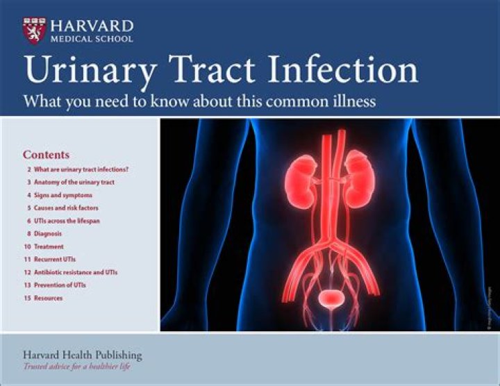 How u get a urine infection?