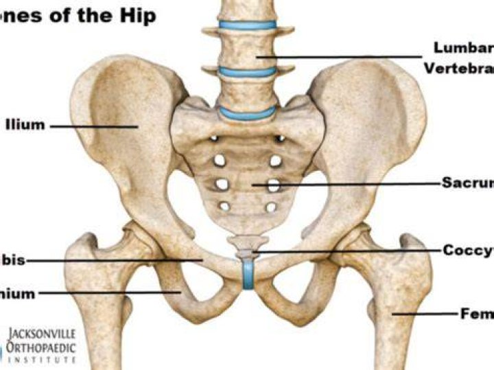 In the hip bone?