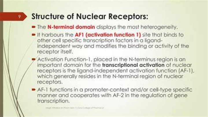 In the nuclear receptor?