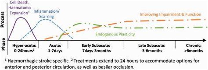 In the subacute phase?