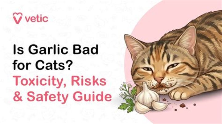 Is garlic bad for cats?