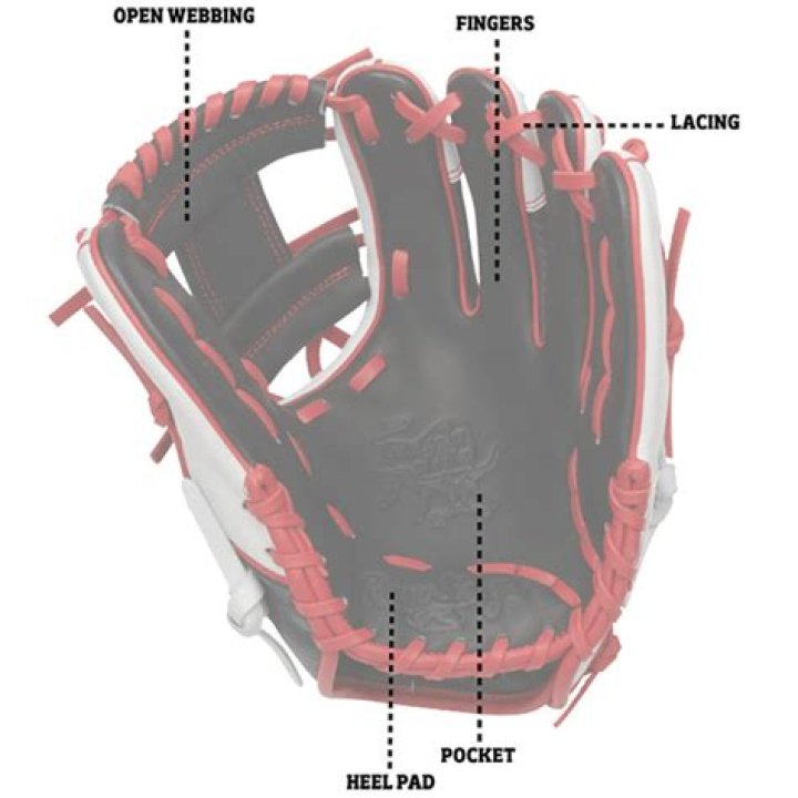 Is the pitcher considered an infielder?