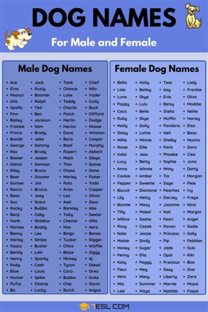 Is violet a popular dog name?