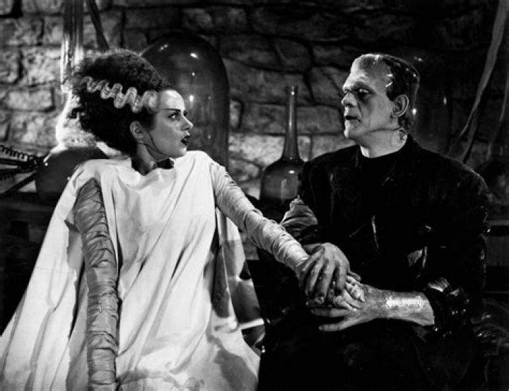 Should frankenstein create female companion?
