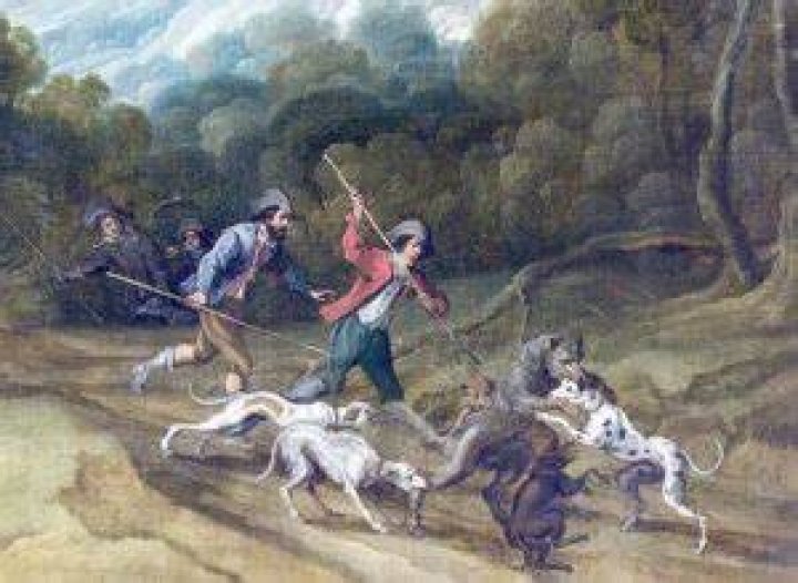 Were there wolves in england?
