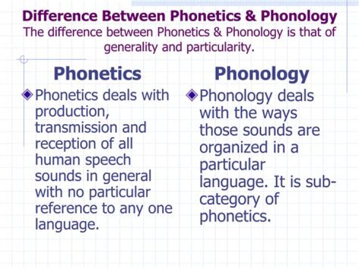 What's the difference between phonology and phonotactics?
