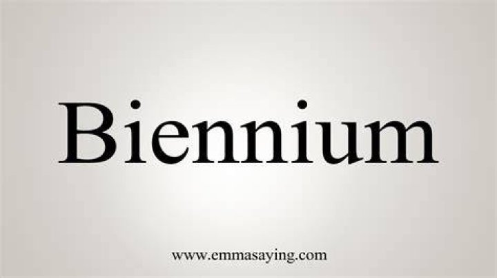 What does per biennium mean?