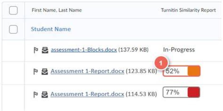 What is a similarity report?