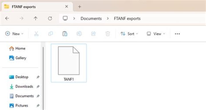 What is an extensionless file?
