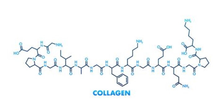 What is collagen made of?