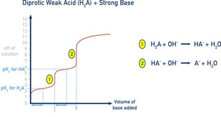 What is diprotic and dibasic?