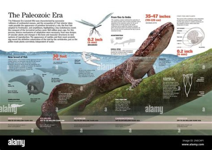 What is palaeozoic era?