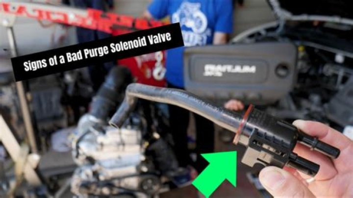 Whats a purge valve?