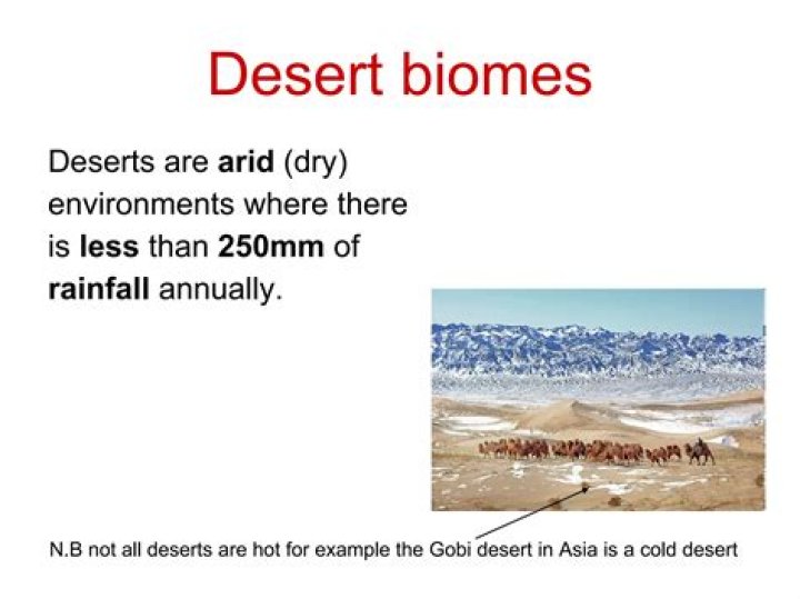 Whats the desert biomes?