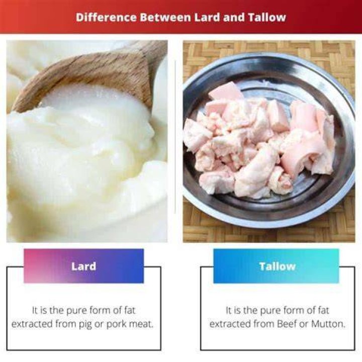 Whats the difference between tallow and lard?