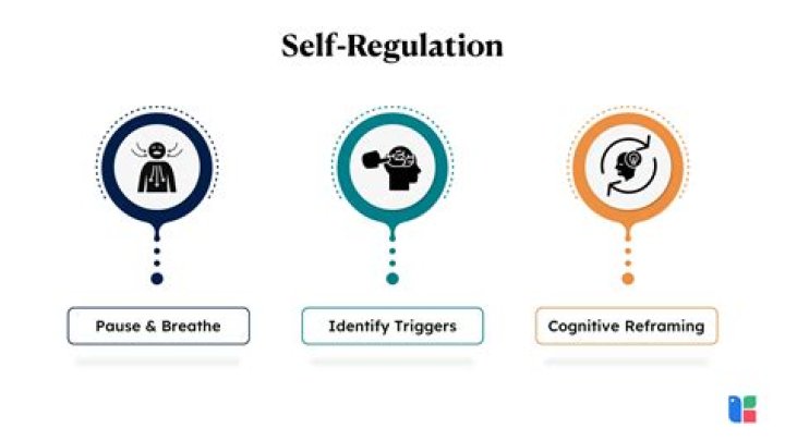 When does self regulation develop?