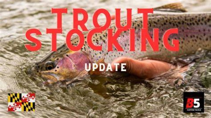 When is trout stocking?
