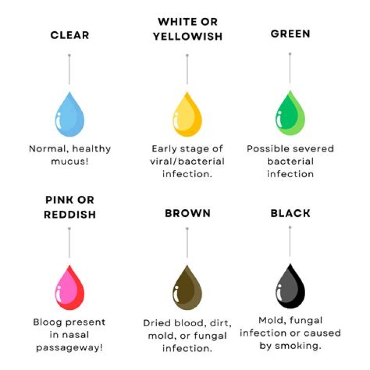 When snot gets thicker?