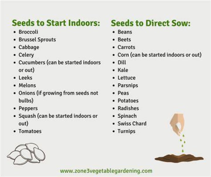 When to sow thistle seeds?