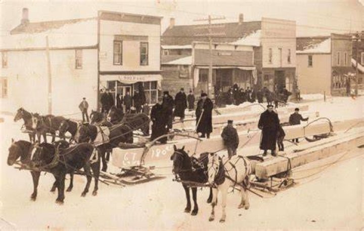 When was mesick michigan founded?