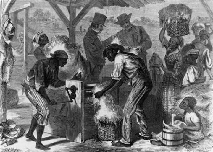 Where did cottonocracy come from?